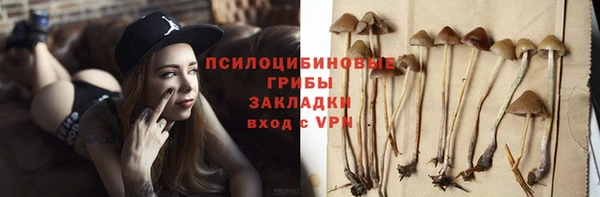 мет Няндома