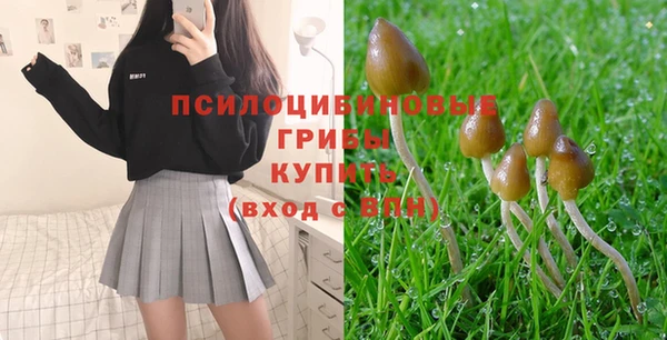 сатива Балахна