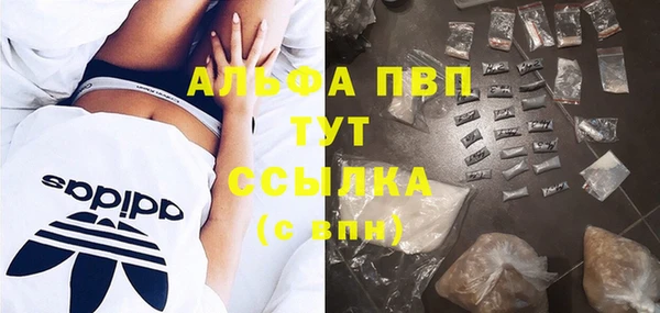 сатива Балахна