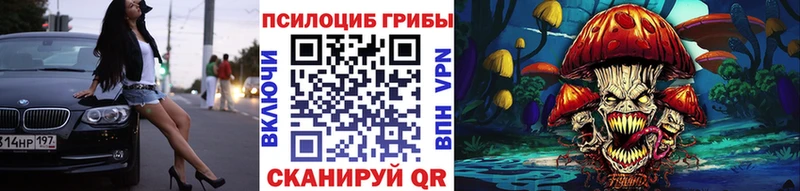 Галлюциногенные грибы Psilocybine cubensis  Озёры 